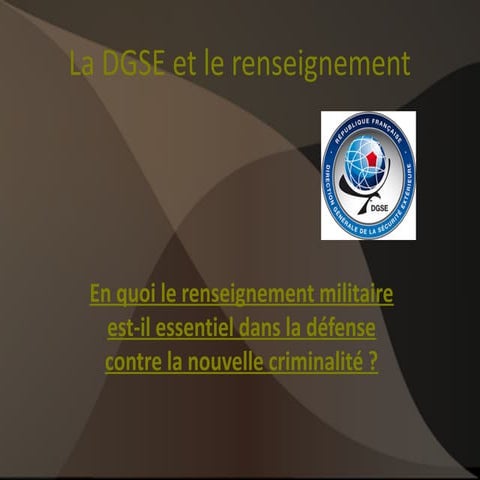Dgse | PDF