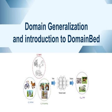 Domain Generalization and DomainBed: Tackling AI Bias and Cross-Domain ...