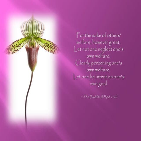 Dhammapada Self Effort