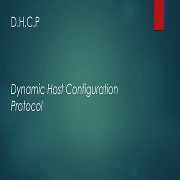 Dhcp Snooping