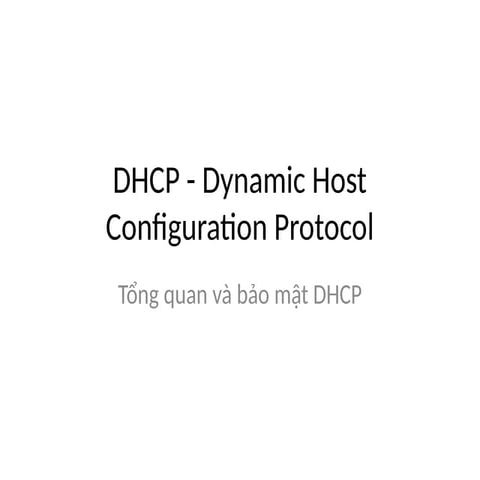 DHCP_Slide_withislo_imageshasdahwuh.pptx