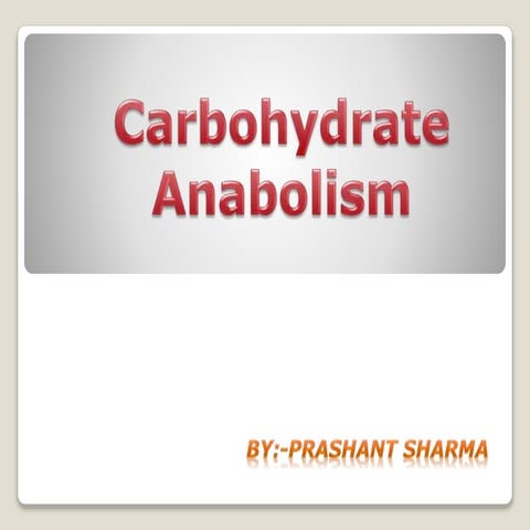 carbohydrate anabolish