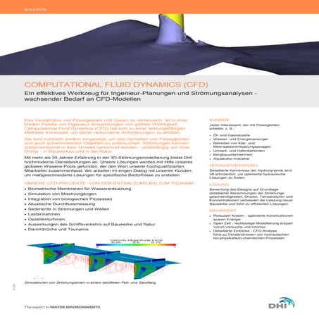 DHI Solution Computational Fluid Dynamics (CFD)