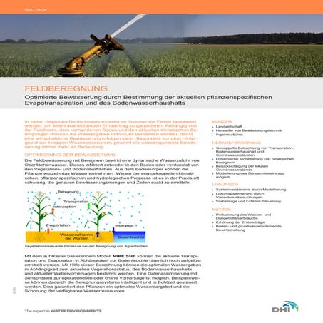 DHI Solution Feldberegnung