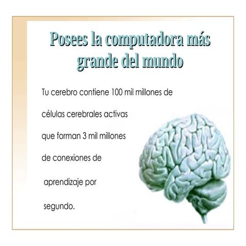El cerebro humano o neo-cortex | PDF