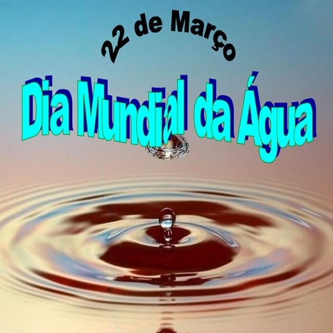 Dia Mundial da Agua