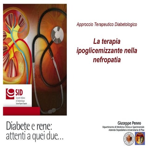 Diabete-e-Rene-Terapia-ipoglicemizzante.ppt