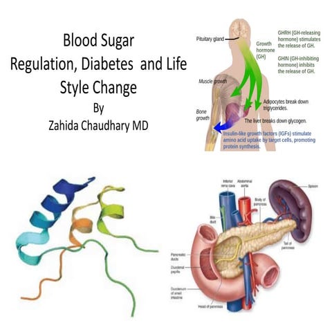 Educational Grand Rounds: Diabetes and Lifestyle Modification