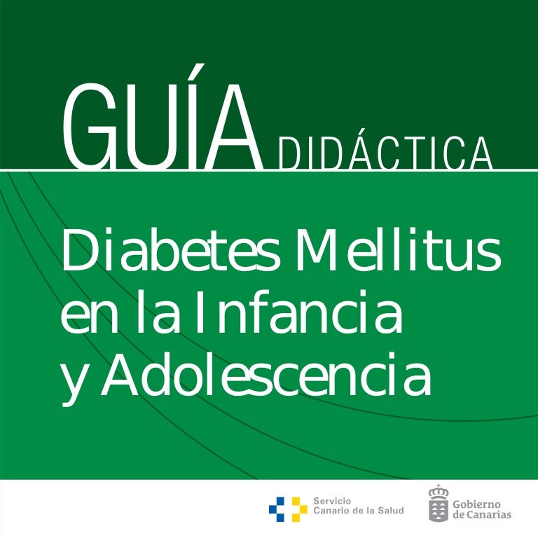 pautas de dieta para diabetes mellitus no dependiente de insulina pautas de dieta para diabetes mellitus no dependiente de insulina