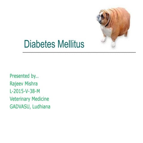Diabetes mellitus in Dogs.