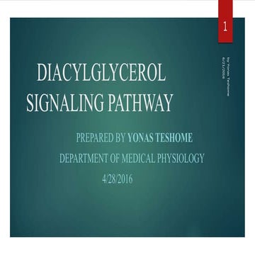 Diacylglycerol           signaling pathway