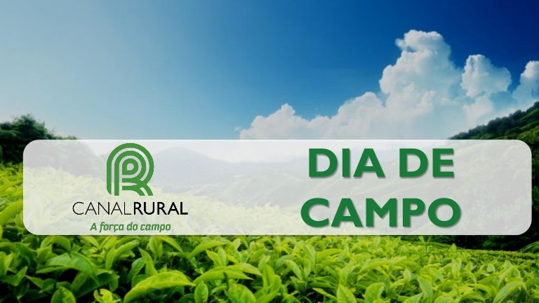 Dia de campo