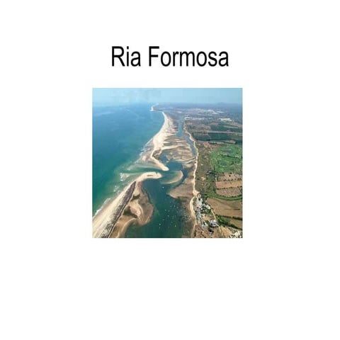 Ria Formosa | PPTX