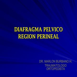 Diafragma pelvico y perine1 aa