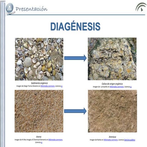 Diagenesis | PPTX