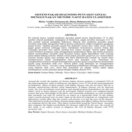 diagnosa penyakit ginjal