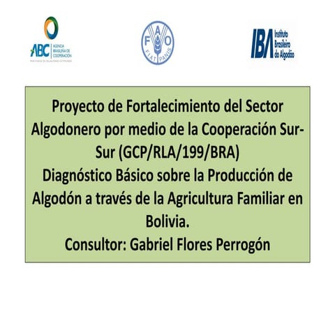 Diagnóstico Básico sobre la Producción de Algodón a través de la Agricultura ...