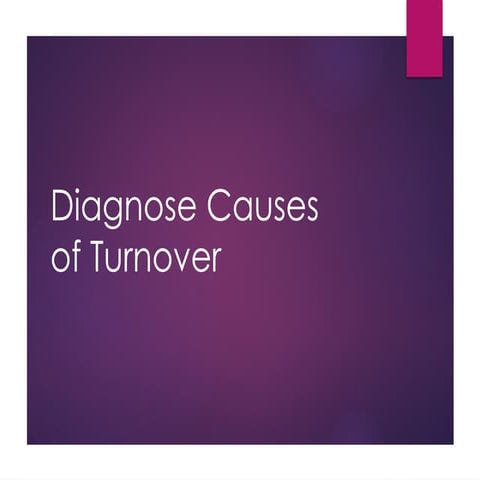 Diagnose Causes of Turnover around .pptx