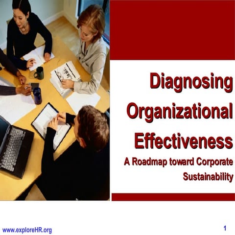 Diagnosing Organizational Effectiveness  