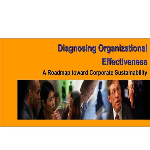 Diagnosing Organizational Effectiveness