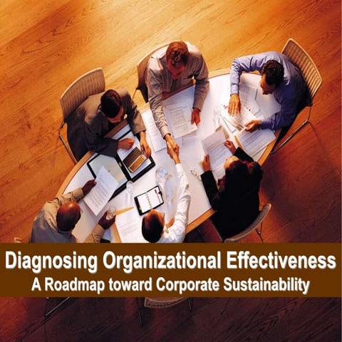 Diagnosing organizational effectiveness ppt slides