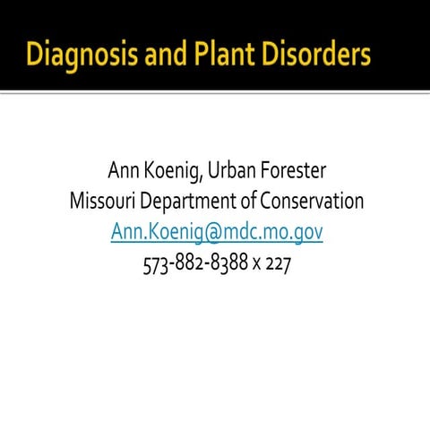 Diagnosis and plant disorders