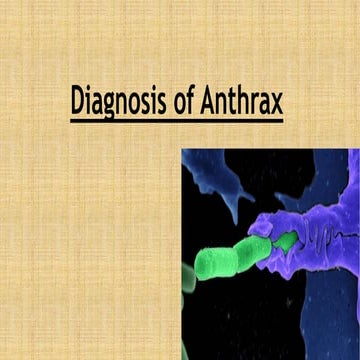 Diagnosis of anthrax