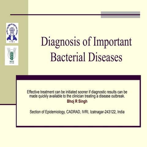 Diagnosis of important bacterial diseases