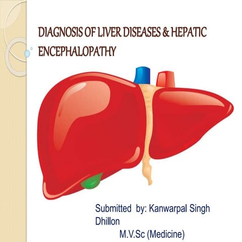 Diagnosis of Liver Disease in Dogs & Cats 