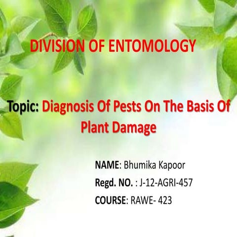 Diagnosis of pest on the basis of plant damage