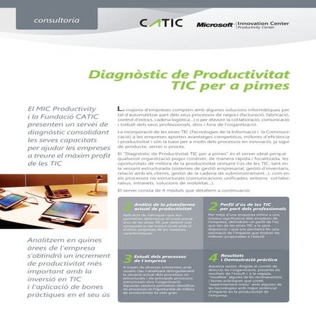 Diagnostic productivitat-mic productivity-catic