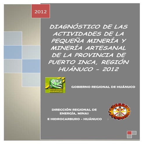 Diagnostico de la actividad minera en la provincia de puerto inca