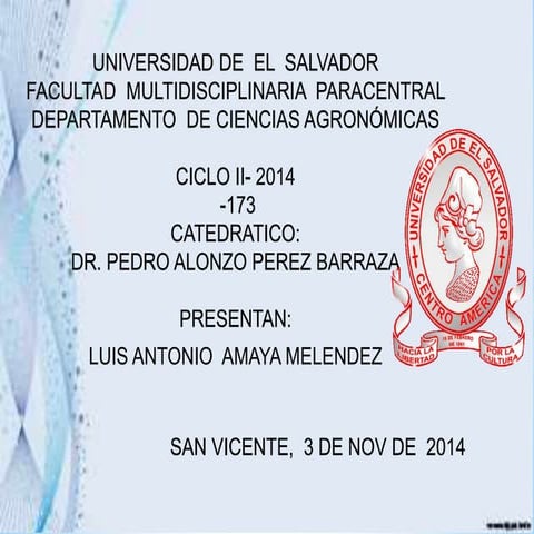 Diagnostico presentado por luis antonio amaya