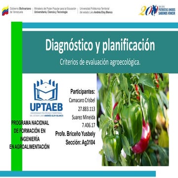 Diagnostico y planificacion pdf(1)