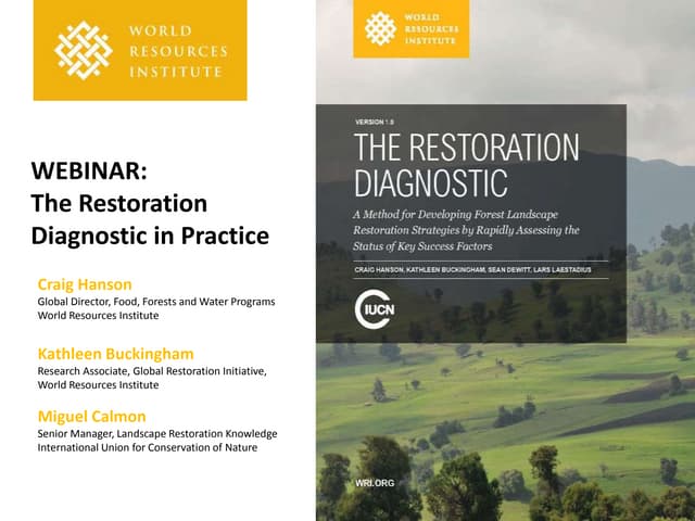 The Restoration Diagnostic in Practice