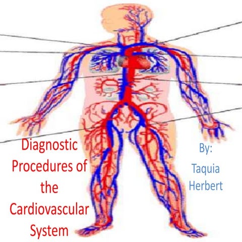 Diagnostic Procedures Of The Cardiovascular System