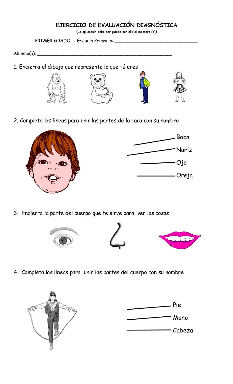 preguntas basicas para hacerle a una persona diagn 243 stico 1er grado preguntas basicas para hacerle a una persona diagn 243 stico 1er grado