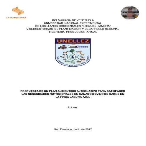 Diagnóstico  del proyecto