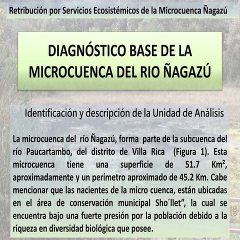DIAGNÓSTICO DE LA CUENCA DEL RIO ÑAGAZÚ.pptx