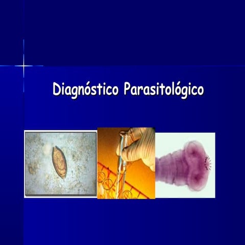 FUNDAMENTO Y PROCEDIMIENTO DE LAS PRUEBAS DE WESTERN BLOT | PPTX