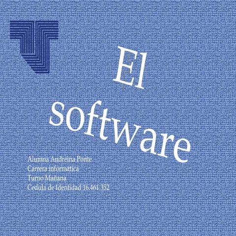 Grafico tipos de software | DOCX