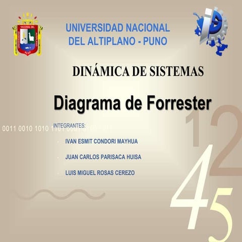 DIAGRAMA DE FORRESTER (3).pptx