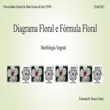 Floral formulas and diagrams | PPT