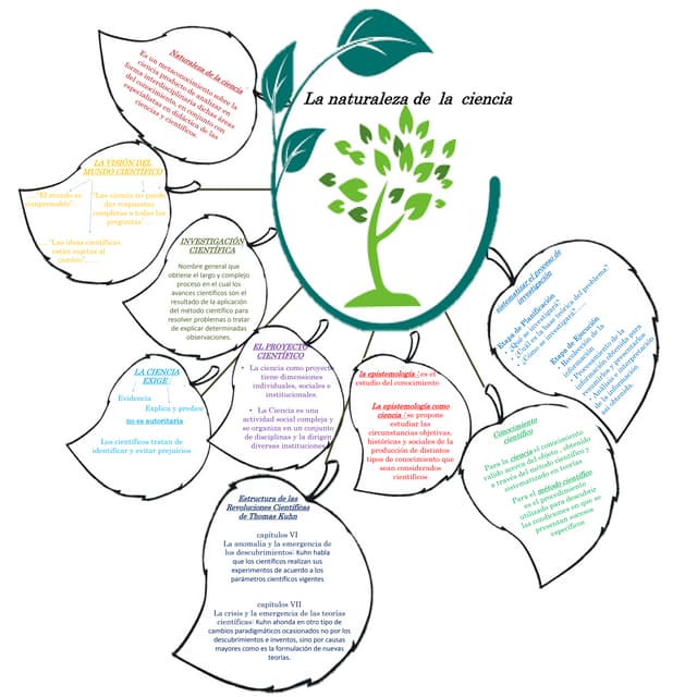 diagrama-naturaleza-de-la-ciencia-pdf