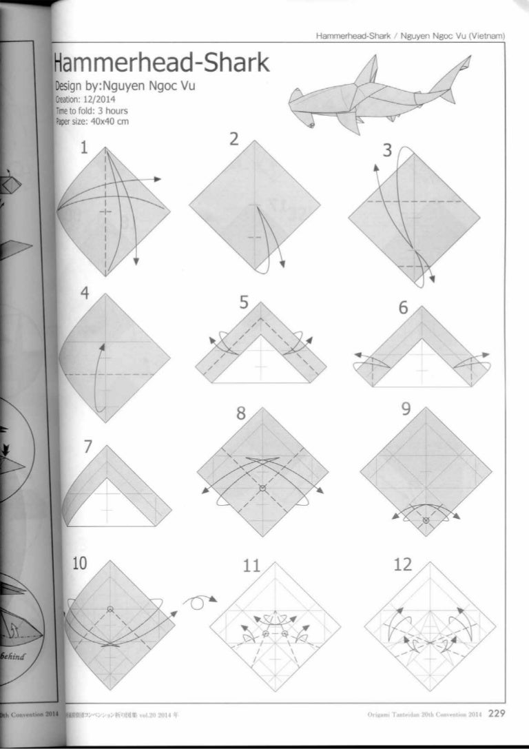 Diagram hammerhead shark nguyen ngoc vu[super]