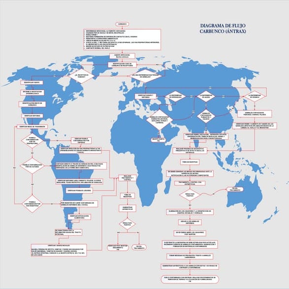 ALGORITMO EPIDEMIOLOGICO CARBUNCO
