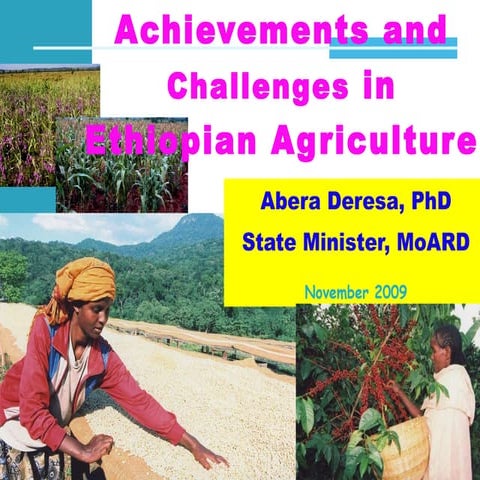 Achievements and challenges in Ethiopian agriculture