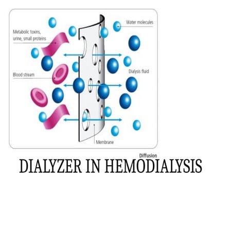 Dialyzer | PPTX