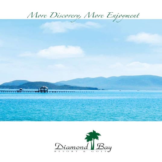 Thiet ke Brochure - Diamond