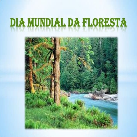 Dia mundial da floresta